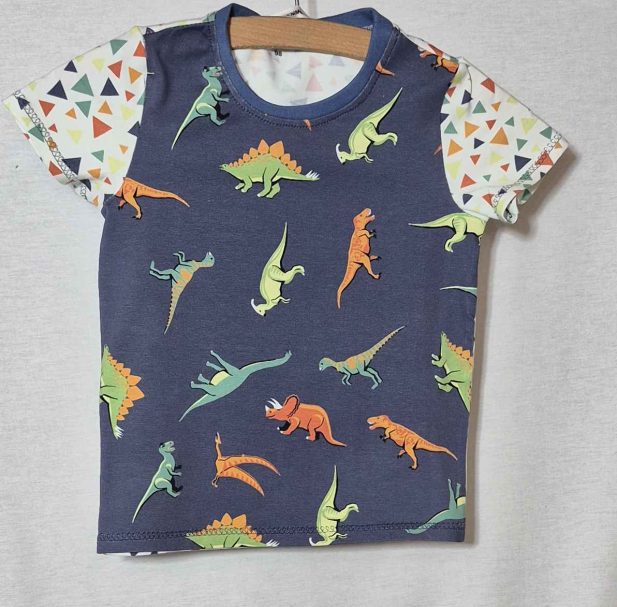 Kinder Shirt Dinosaurier handgemacht Handgemachtes Kinder T-Shirt mit Dinosauriermotiv